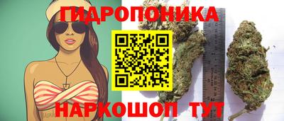 тгк Гулькевичи