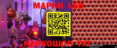 PSILOCYBIN Гудермес