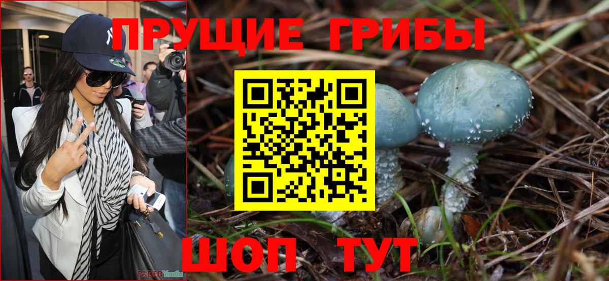 Псилоцибиновые грибы Magic Shrooms  Вход с VPN  Белореченск  Галлюциногенные грибы GOLDEN TEACHER 