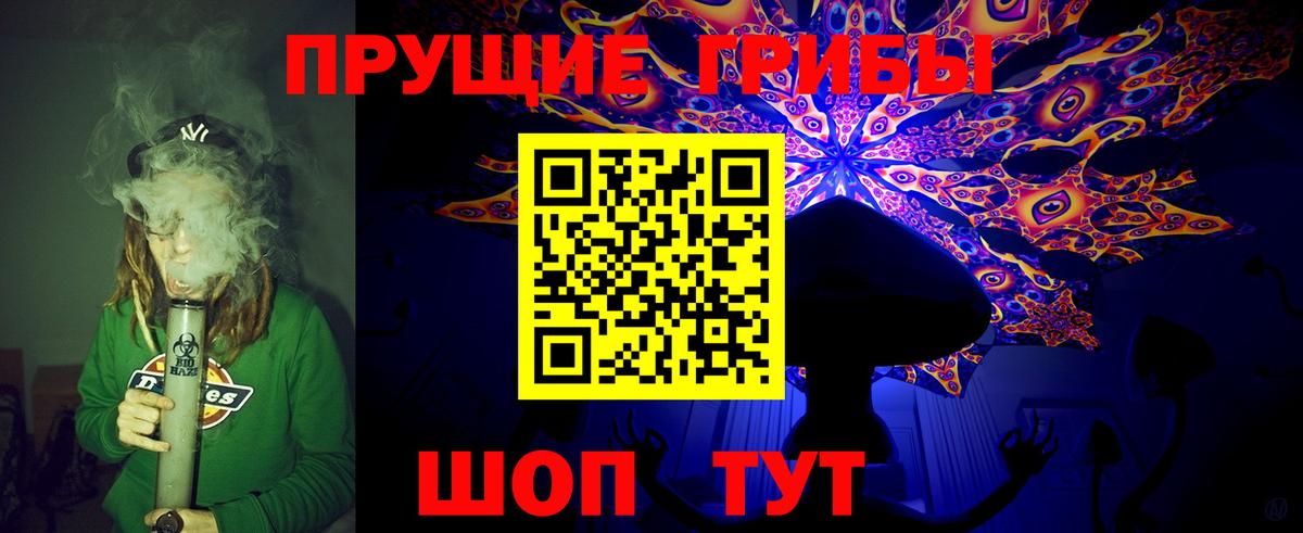 Псилоцибиновые грибы мицелий Белореченск